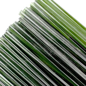 Oceanside 5282 Light Olive Green Transparent